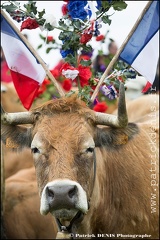 Transhumance - Bonnecombe 2015 IMG_5198 Photo Patrick_DENIS