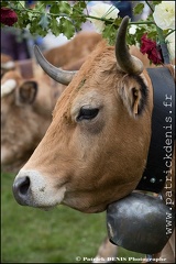 Transhumance - Bonnecombe 2015 IMG_5204 Photo Patrick_DENIS