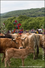 Transhumance - Bonnecombe 2015 IMG_5223 Photo Patrick_DENIS