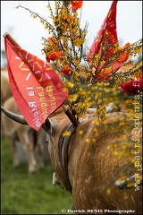 Transhumance - Bonnecombe 2015 IMG_5243 Photo Patrick_DENIS