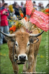 Transhumance - Bonnecombe 2015 IMG_5249 Photo Patrick_DENIS