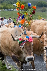 Transhumance - Bonnecombe 2015 IMG_5280 Photo Patrick_DENIS