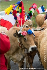 Transhumance - Bonnecombe 2015 IMG_5286 Photo Patrick_DENIS