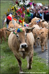 Transhumance - Bonnecombe 2015 IMG_5295 Photo Patrick_DENIS