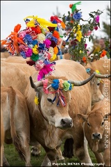 Transhumance - Bonnecombe 2015 IMG_5318 Photo Patrick_DENIS