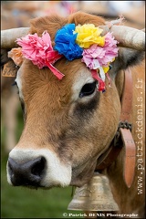 Transhumance - Bonnecombe 2015 IMG_5321 Photo Patrick_DENIS