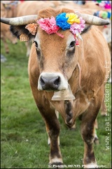 Transhumance - Bonnecombe 2015 IMG_5323 Photo Patrick_DENIS