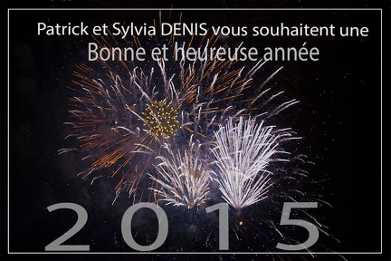 voeux 2015