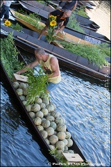 Marché flottant - Isle sur la sorgue IMG_9039 Photo Patrick_DENIS