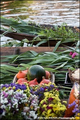 Marché flottant - Isle sur la sorgue IMG_9107 Photo Patrick_DENIS