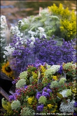 Marché flottant - Isle sur la sorgue IMG_9127 Photo Patrick_DENIS