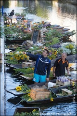 Marché flottant - Isle sur la sorgue IMG_9164 Photo Patrick_DENIS