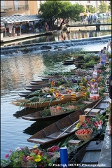 Marché flottant - Isle sur la sorgue IMG_9177 Photo Patrick_DENIS