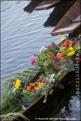 Marché flottant - Isle sur la sorgue IMG_9182 Photo Patrick_DENIS