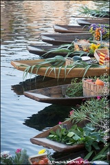 Marché flottant - Isle sur la sorgue IMG_9198 Photo Patrick_DENIS