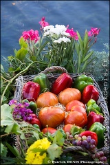 Marché flottant - Isle sur la sorgue IMG_9200 Photo Patrick_DENIS