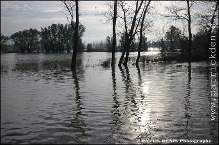 Arles - 2003 Inondations IMG_1302 Photo Patrick_DENIS