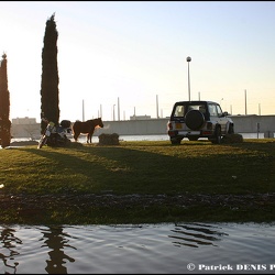 Inondations - ZI Nord @ Arles | 09.12.2003