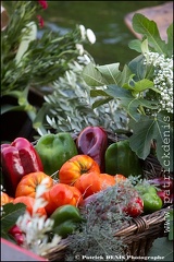 Marché flottant - Isle sur la sorgue IMG_4442 Photo Patrick_DENIS