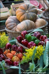 Marché flottant - Isle sur la sorgue IMG_4455 Photo Patrick_DENIS