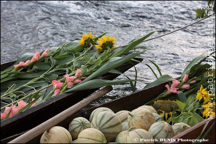 Marché flottant - Isle sur la sorgue IMG_4482 Photo Patrick_DENIS