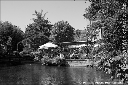 Marché - Isle sur la Sorgue IMG_1830 Photo Patrick_DENIS