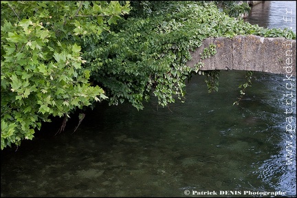 Isle sur la sorgue IMG_1565 Photo Patrick_DENIS