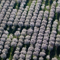 Le Vaucluse vu du ciel | 01.04.2012