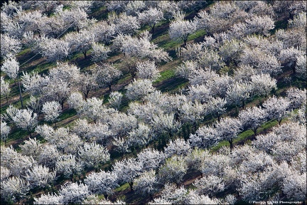 Vaucluse vu du ciel IMG_8761 Photo Patrick_DENIS