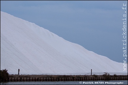 Salins du midi - Aigues Mortes IMG_5794 Photo Patrick_DENIS