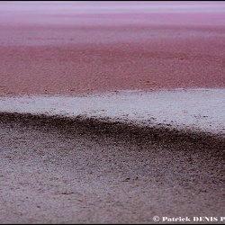 Salins du midi @ Aigues Mortes | 10.09.2011