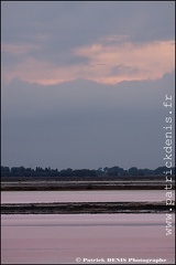 Salins du midi - Aigues Mortes IMG_5783 Photo Patrick_DENIS