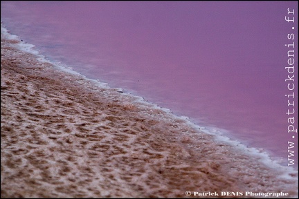 Salins du midi - Aigues Mortes IMG_5779 Photo Patrick_DENIS