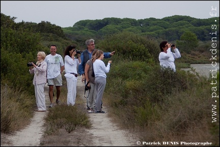 Salins du midi - Aigues Mortes IMG_5717 Photo Patrick_DENIS