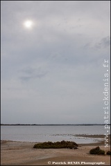 Salins du midi - Aigues Mortes IMG_5628 Photo Patrick_DENIS