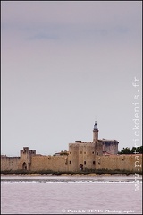 Salins du midi - Aigues Mortes IMG_5583 Photo Patrick_DENIS