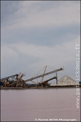 Salins du midi - Aigues Mortes IMG_5577 Photo Patrick_DENIS