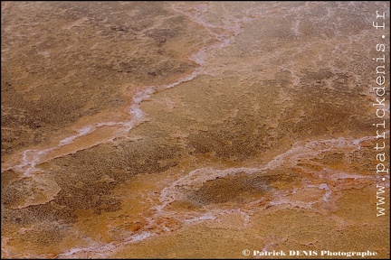 Salins du midi - Aigues Mortes IMG_5569 Photo Patrick_DENIS