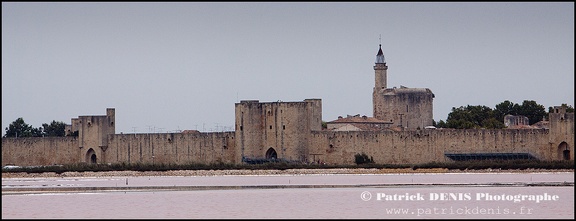 Salins du midi - Aigues Mortes IMG_5564 Photo Patrick_DENIS