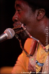 Terry Harmonica Bean - Sonograf IMG_1481 Photo Patrick_DENIS