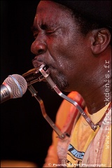 Terry Harmonica Bean - Sonograf IMG_1479 Photo Patrick_DENIS