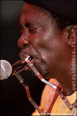 Terry Harmonica Bean - Sonograf IMG_1465 Photo Patrick_DENIS