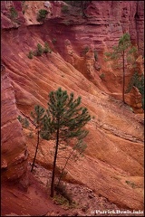 Roussillon IMG_3867 Photo Patrick_DENIS
