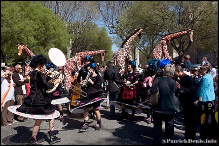 Miss Trash Fanfare - Carnaval Arles IMG_4124 Photo Patrick_DENIS