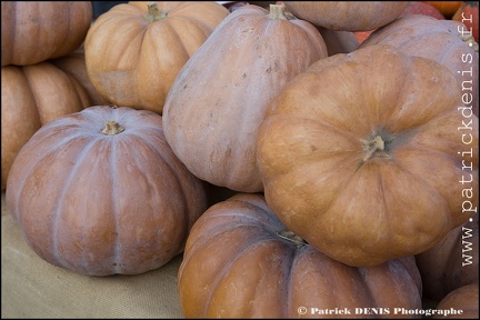 Fete courge - Petit palais IMG 2623 Photo Patrick DENIS