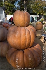 Fete courge - Petit palais IMG 2625 Photo Patrick DENIS