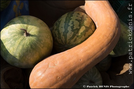 Fete courge - Petit palais IMG 2627 Photo Patrick DENIS