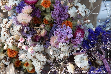 Fete courge - Petit palais IMG 2628 Photo Patrick DENIS