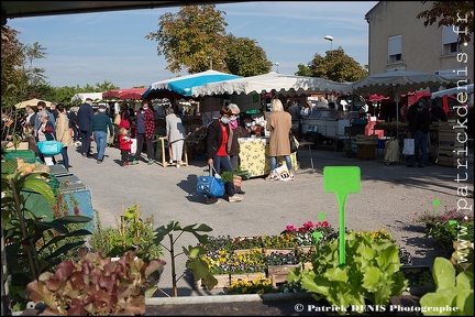 Fete courge - Petit palais IMG 2635 Photo Patrick DENIS