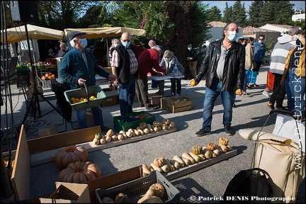 Fete courge - Petit palais IMG 2639 Photo Patrick DENIS